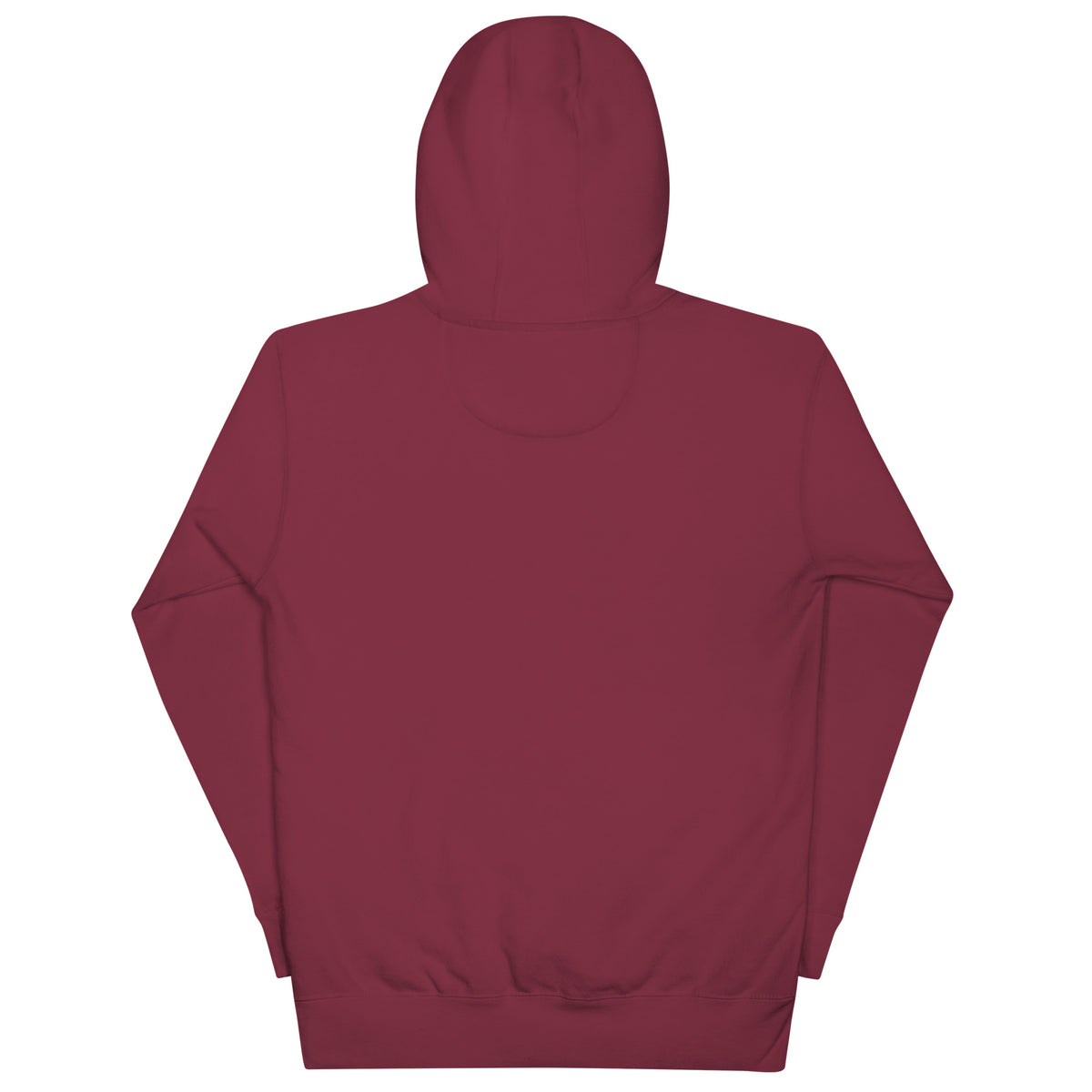 "I Paused My Game to Be Here" Unisex Hoodie | Gamer Hoodie-TAU TRENDY TEES LLC-Wear-N-Share Apparel