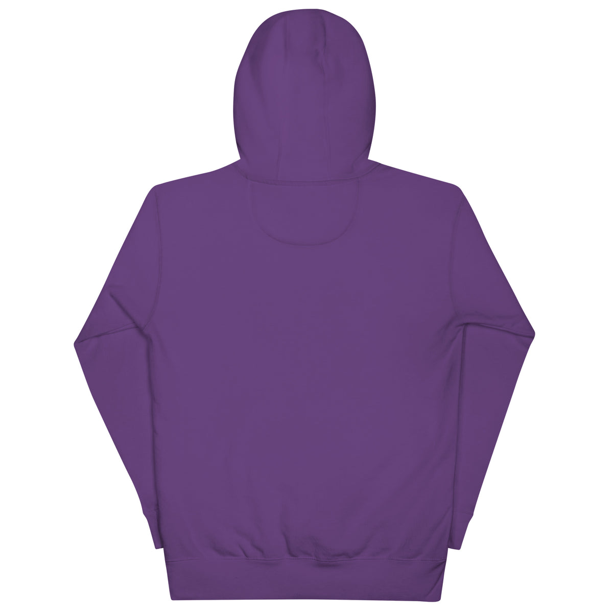 "I Paused My Game to Be Here" Unisex Hoodie | Gamer Hoodie-TAU TRENDY TEES LLC-Wear-N-Share Apparel