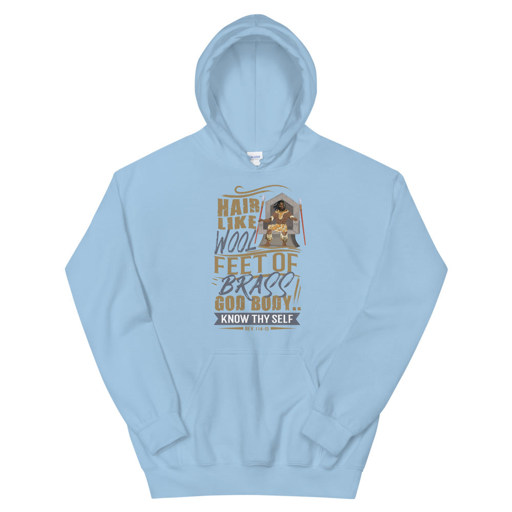 "Feet of Brass" Unisex Hoodie-Hoodies-TAU TRENDY TEES-Light Blue-S-Wear-N-Share Apparel